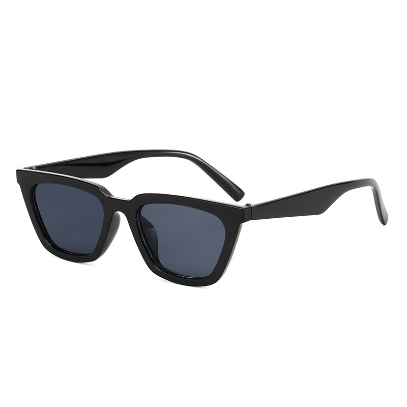 Vintage Leisure Cat Eye Sungla - Sunglasses Cat Eye avis et prix