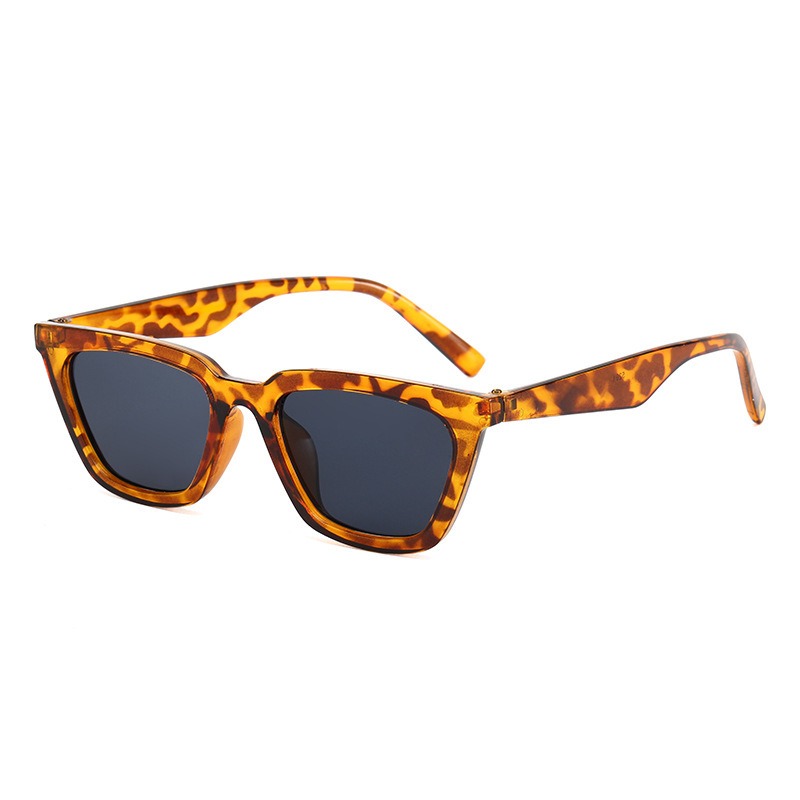 Vintage Leisure Cat Eye Sungla - Sunglasses Cat Eye avis et prix